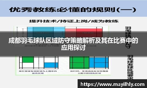 成都羽毛球队区域防守策略解析及其在比赛中的应用探讨